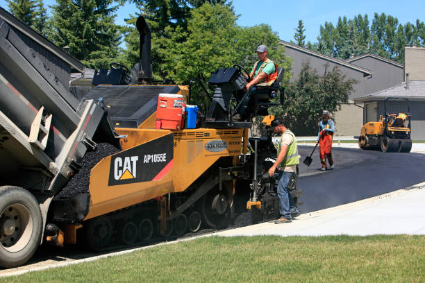 Best Driveway Pavers Near Me  in Toledo, IA